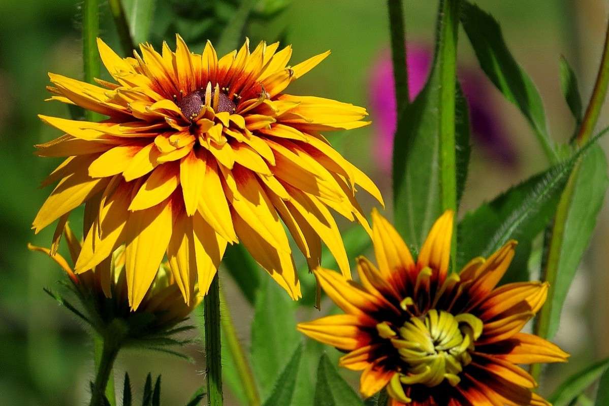 ... ����� Natali  ��������� �� PhotoGeek.ru #������ ��� ������� #����� ��������������