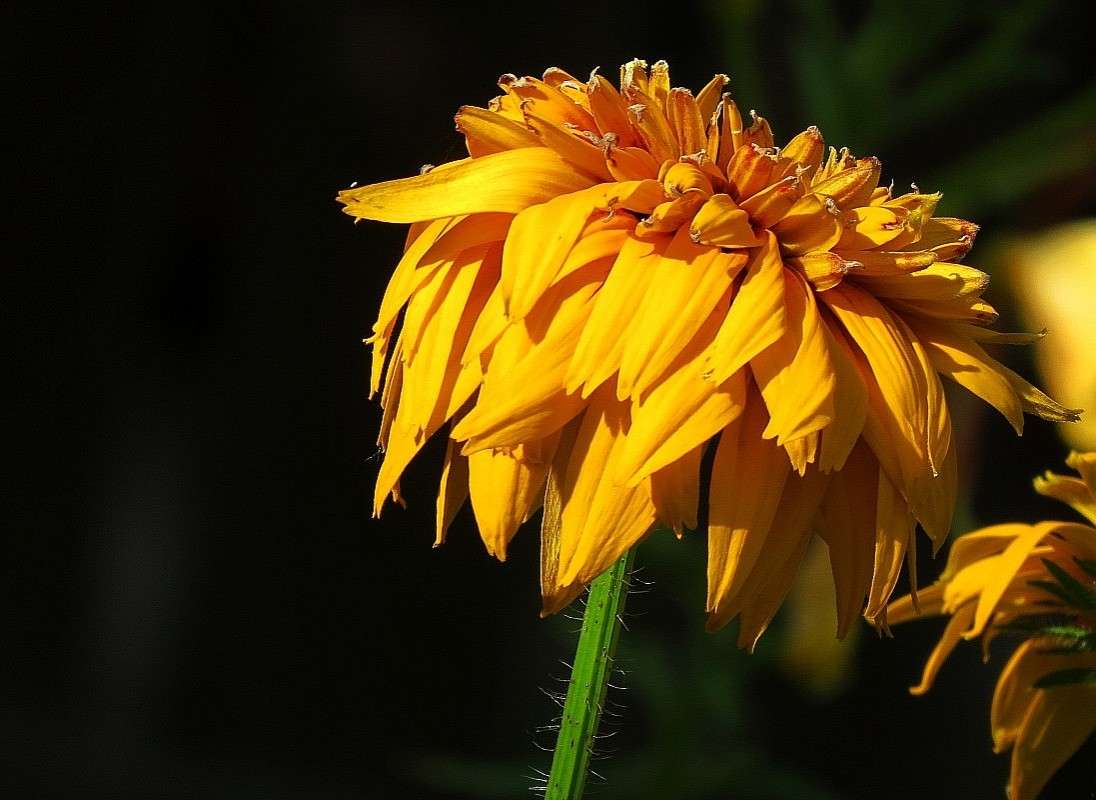 ... ����� Natali  ��������� �� PhotoGeek.ru #������ ��� ������� #����� ��������������