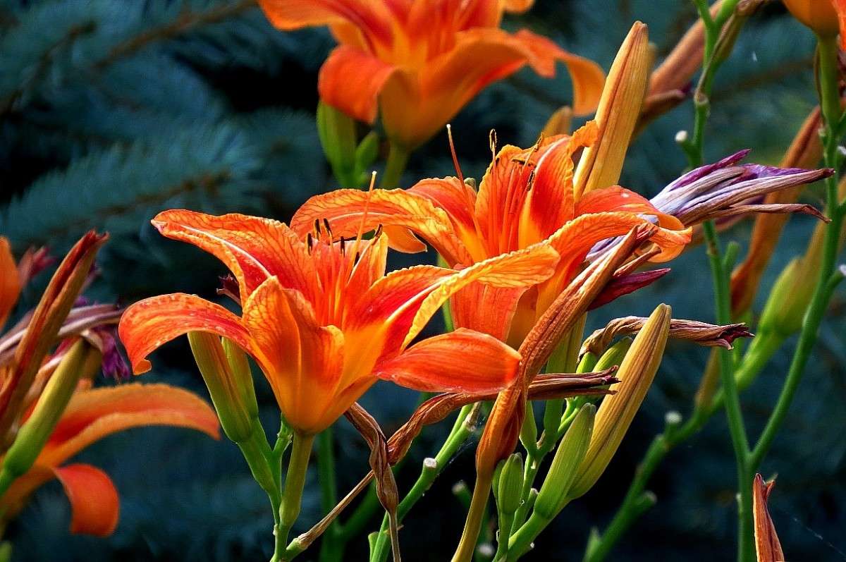 ... ����� Natali  ��������� �� PhotoGeek.ru #������ ��� ������� #����� ��������������