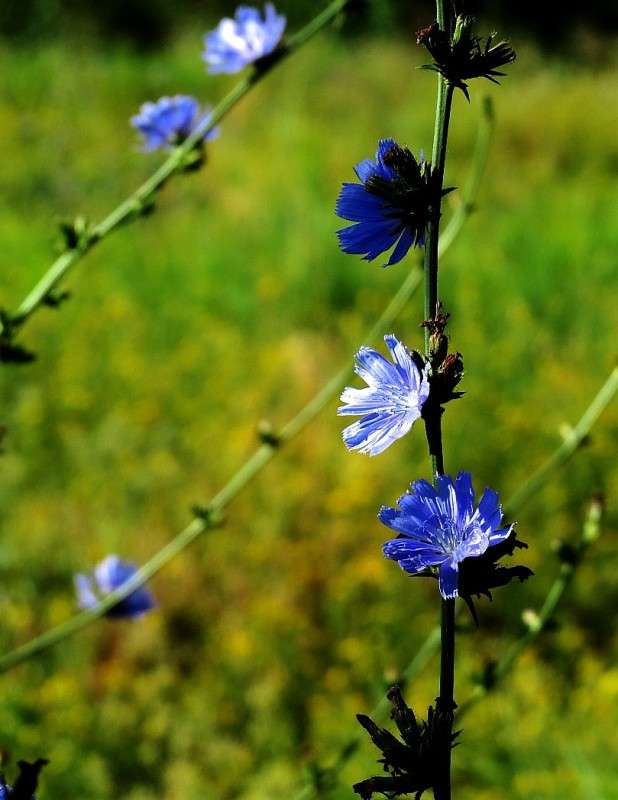 ... ����� Natali  ��������� �� PhotoGeek.ru #������ ��� ������� #����� ��������������