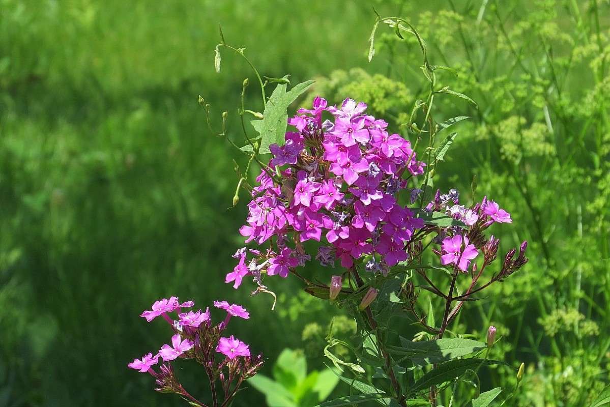 ... ����� Natali  ��������� �� PhotoGeek.ru #������ ��� ������� #����� ��������������