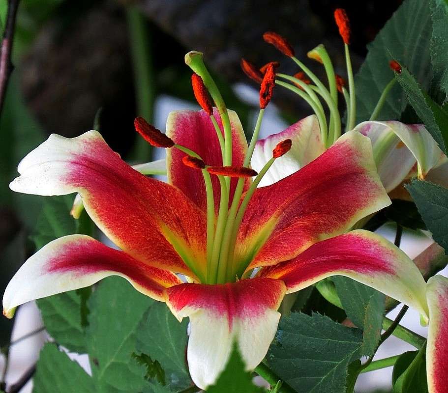 ... ����� Natali  ��������� �� PhotoGeek.ru #������ ��� ������� #����� ��������������