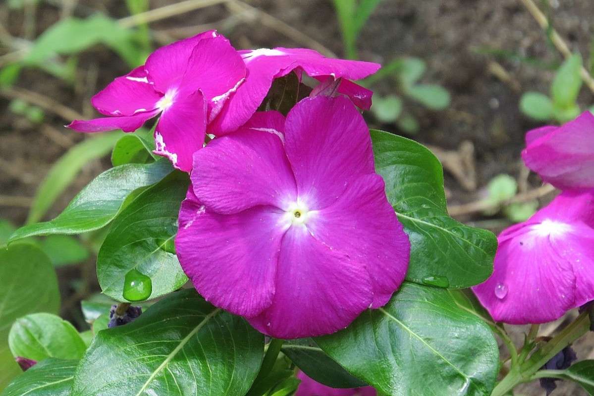 ... ����� Natali  ��������� �� PhotoGeek.ru #������ ��� ������� #����� ��������������