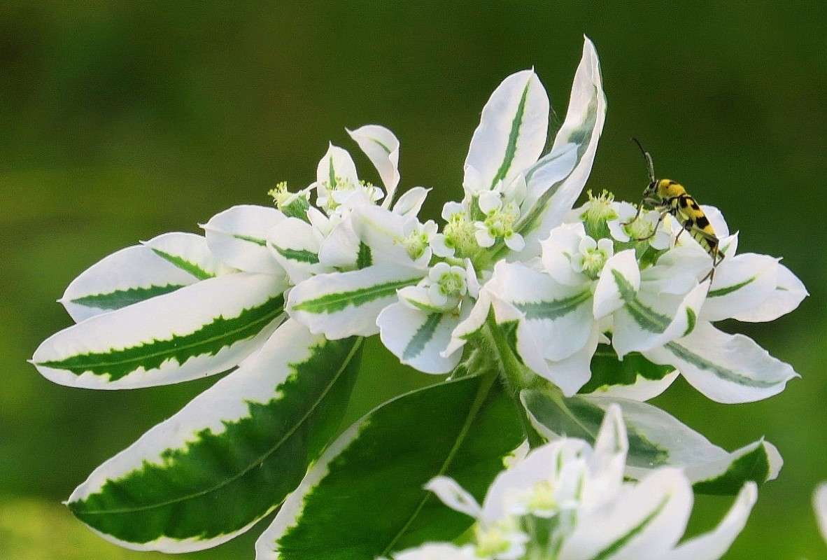 ... ����� Natali  ��������� �� PhotoGeek.ru #������ ��� ������� #����� ��������������