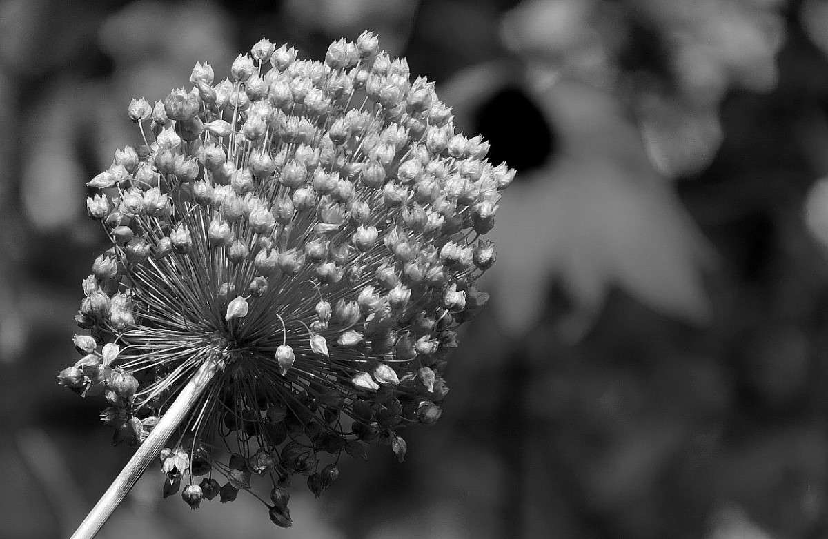 ... ����� Natali  ��������� �� PhotoGeek.ru #������ ��� ������� #����� ��������������