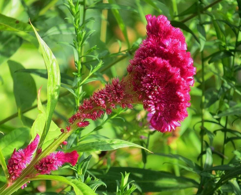 ... ����� Natali  ��������� �� PhotoGeek.ru #������ ��� ������� #����� ��������������