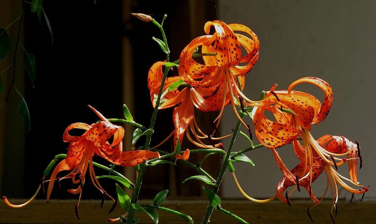 ��� ��� �����, "������� �����" ))) ����� Natali  ��������� �� PhotoGeek.ru #������ ��� ������� #����� ��������������