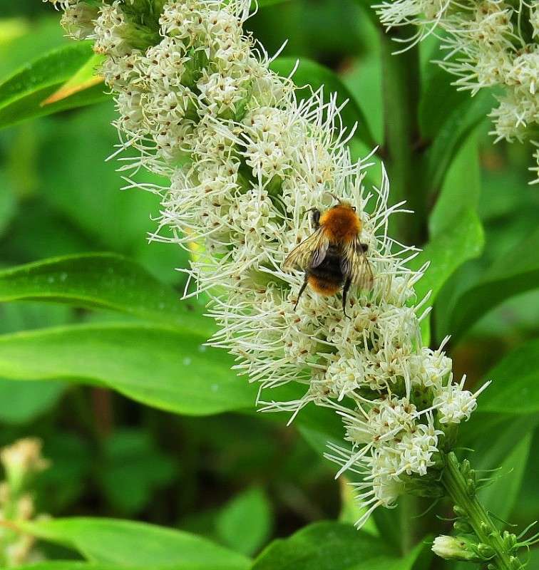 � ���� 4 ����� Natali  ��������� �� PhotoGeek.ru #������ ��� ������� #����� ��������������