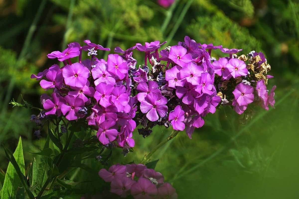 � ���� 2 ����� Natali  ��������� �� PhotoGeek.ru #������ ��� ������� #����� ��������������