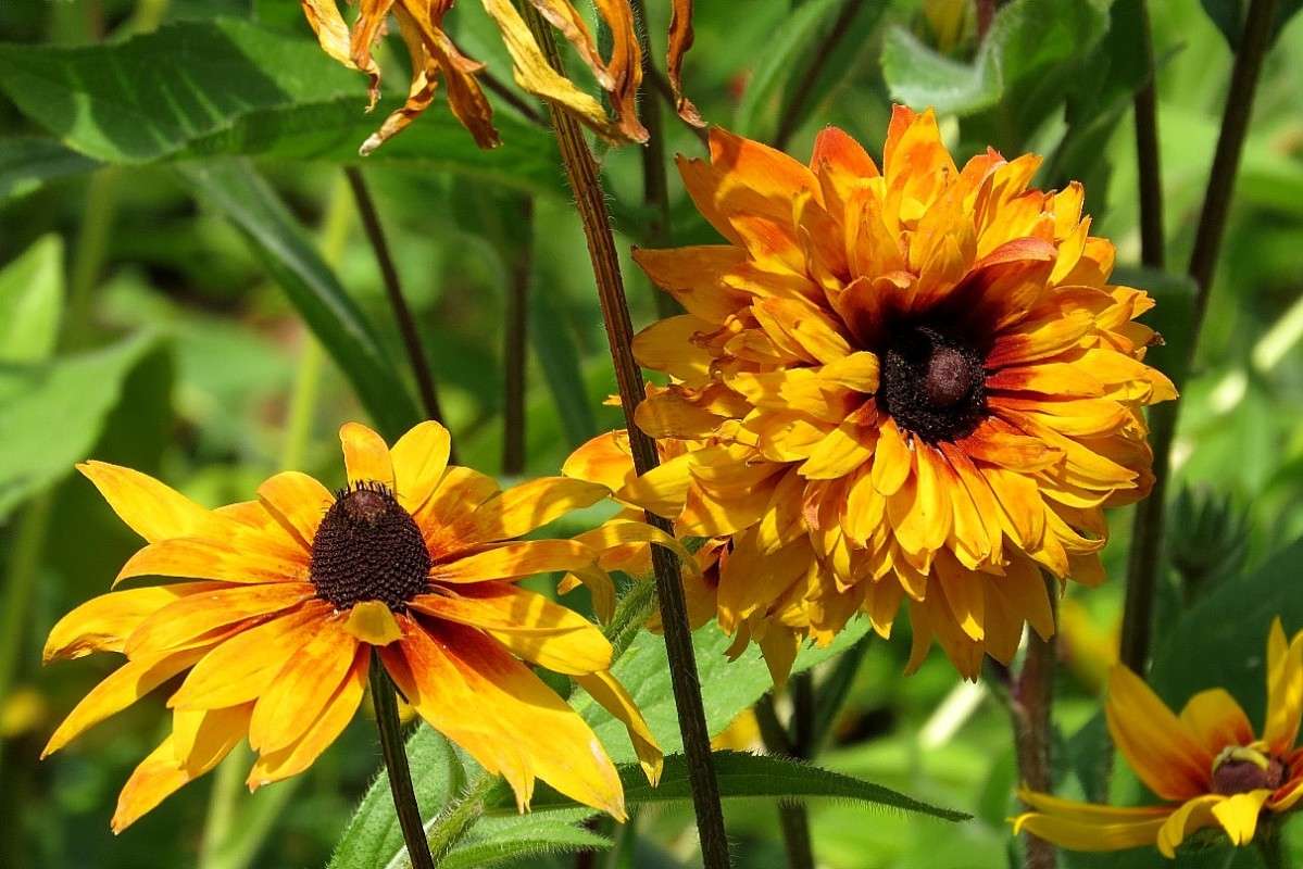 � ���� 3 ����� Natali  ��������� �� PhotoGeek.ru #������ ��� ������� #����� ��������������