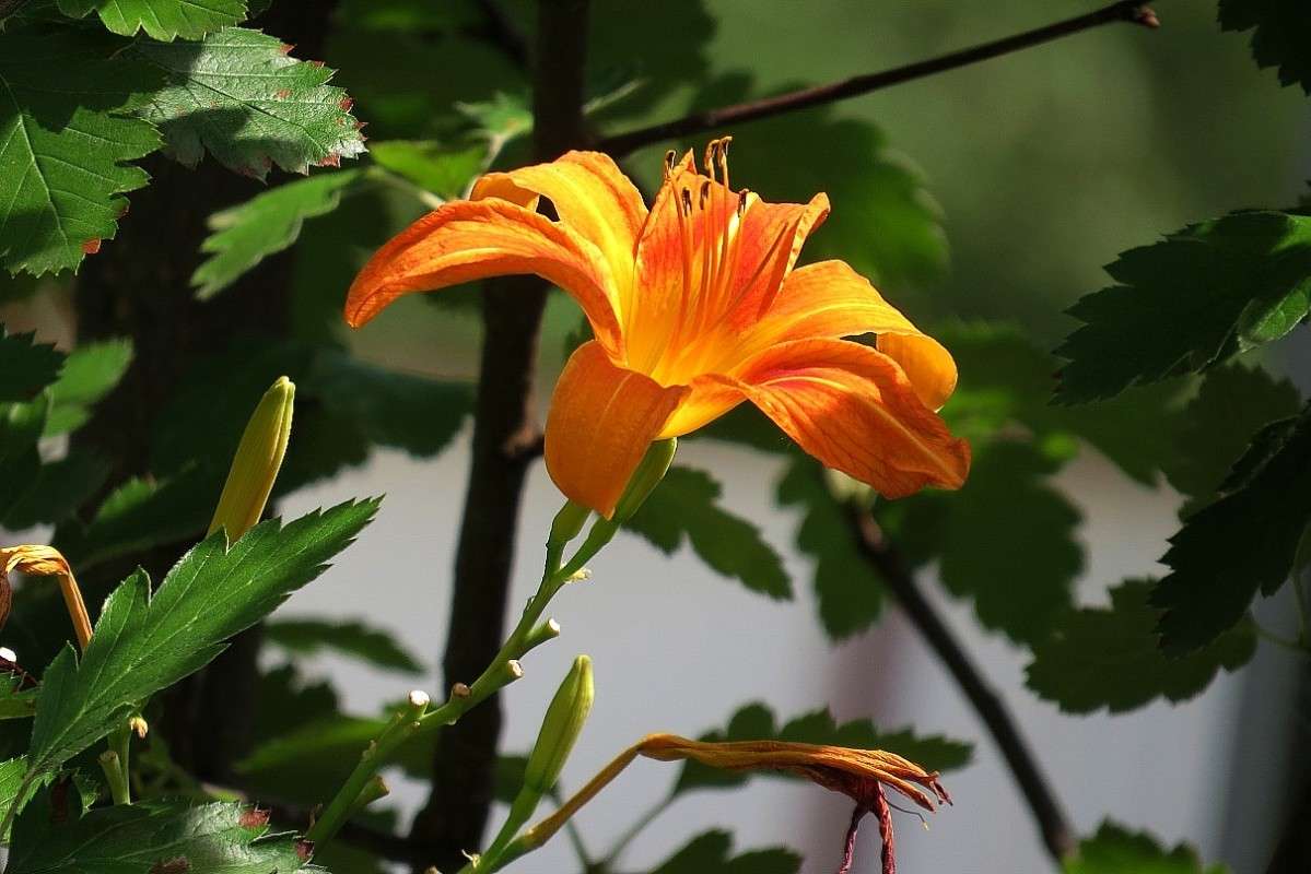 � ���� 5 ����� Natali  ��������� �� PhotoGeek.ru #������ ��� ������� #����� ��������������