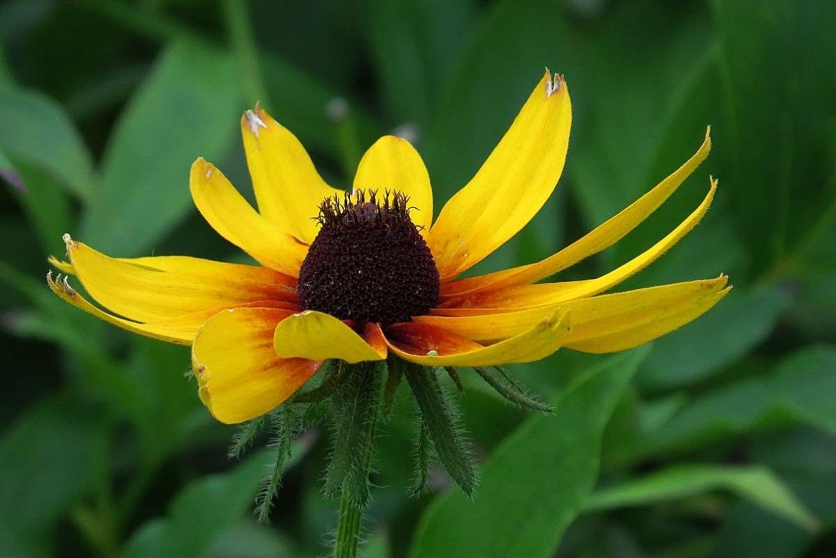 � ���� ����� Natali  ��������� �� PhotoGeek.ru #������ ��� ������� #����� ��������������