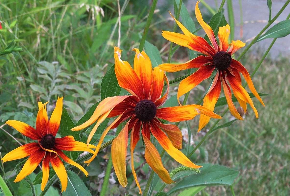 � ������ ))) ����� Natali  ��������� �� PhotoGeek.ru #������ ��� ������� #����� ��������������