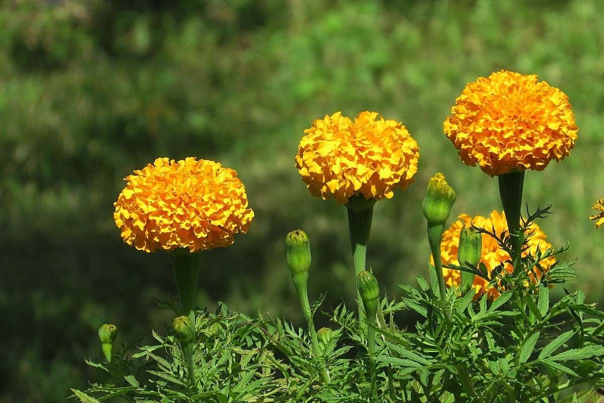 � ������ 2 ))) ����� Natali  ��������� �� PhotoGeek.ru #������ ��� ������� #����� ��������������