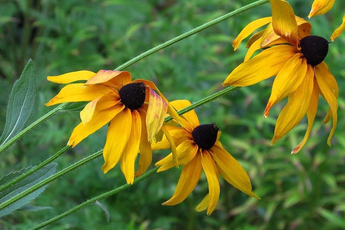 � ������ 3 ))) ����� Natali  ��������� �� PhotoGeek.ru #������ ��� ������� #����� ��������������