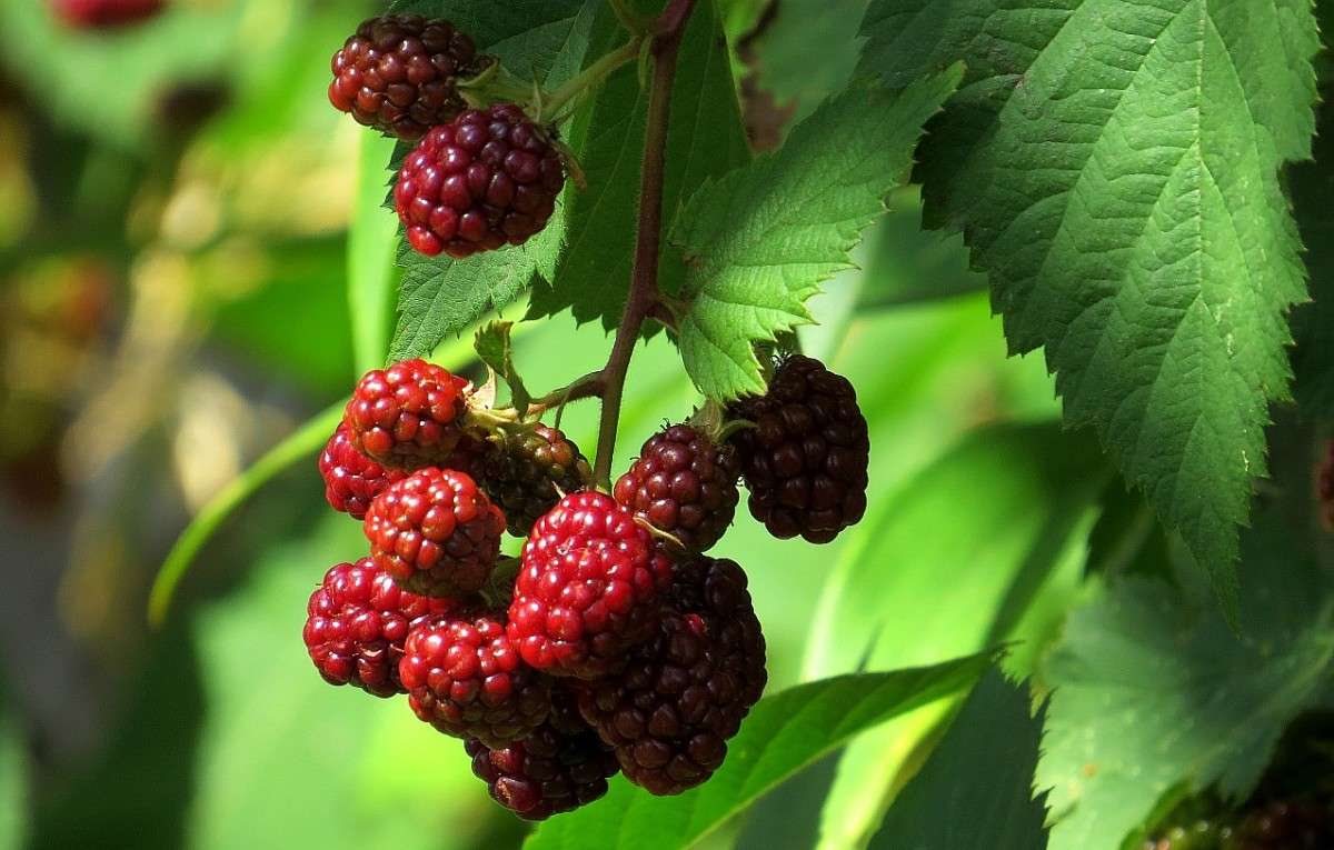 ... ����� Natali  ��������� �� PhotoGeek.ru #������ ��� ������� #����� ��������������