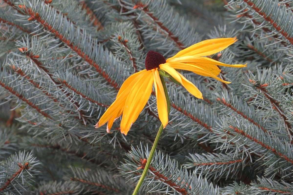 ... ����� Natali  ��������� �� PhotoGeek.ru #������ ��� ������� #����� ��������������