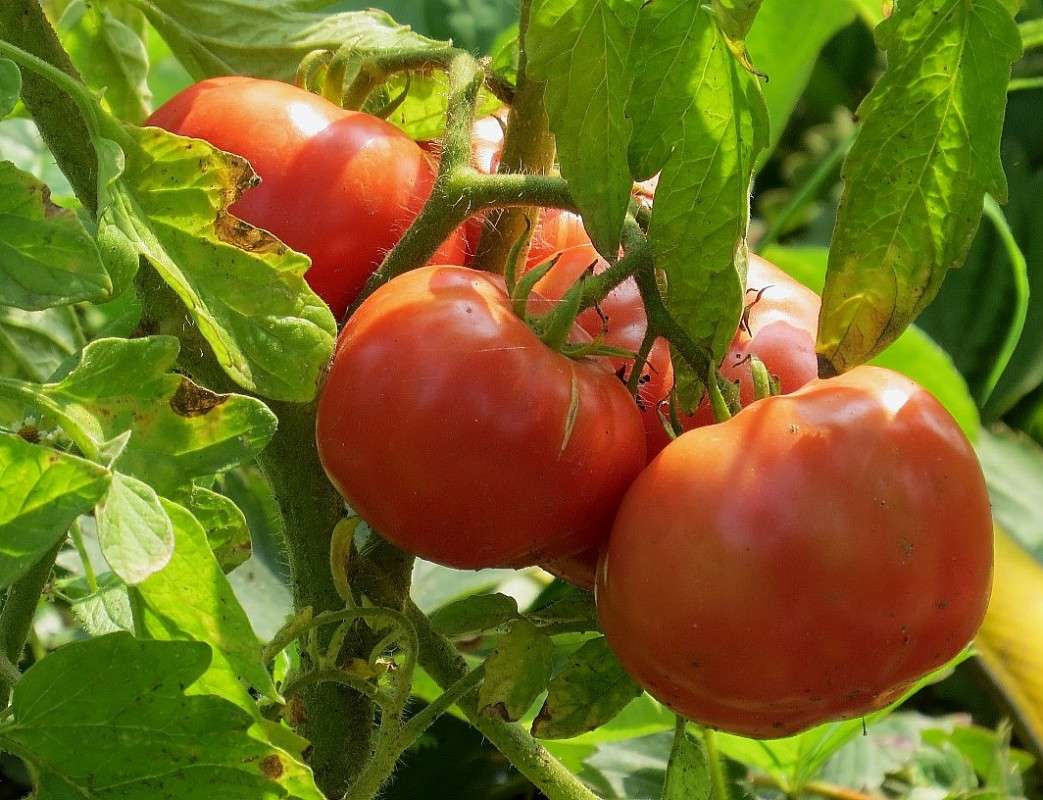 �� ������ ������ ....))) ����� Natali  ��������� �� PhotoGeek.ru #������ ��� ������� #����� ��������������