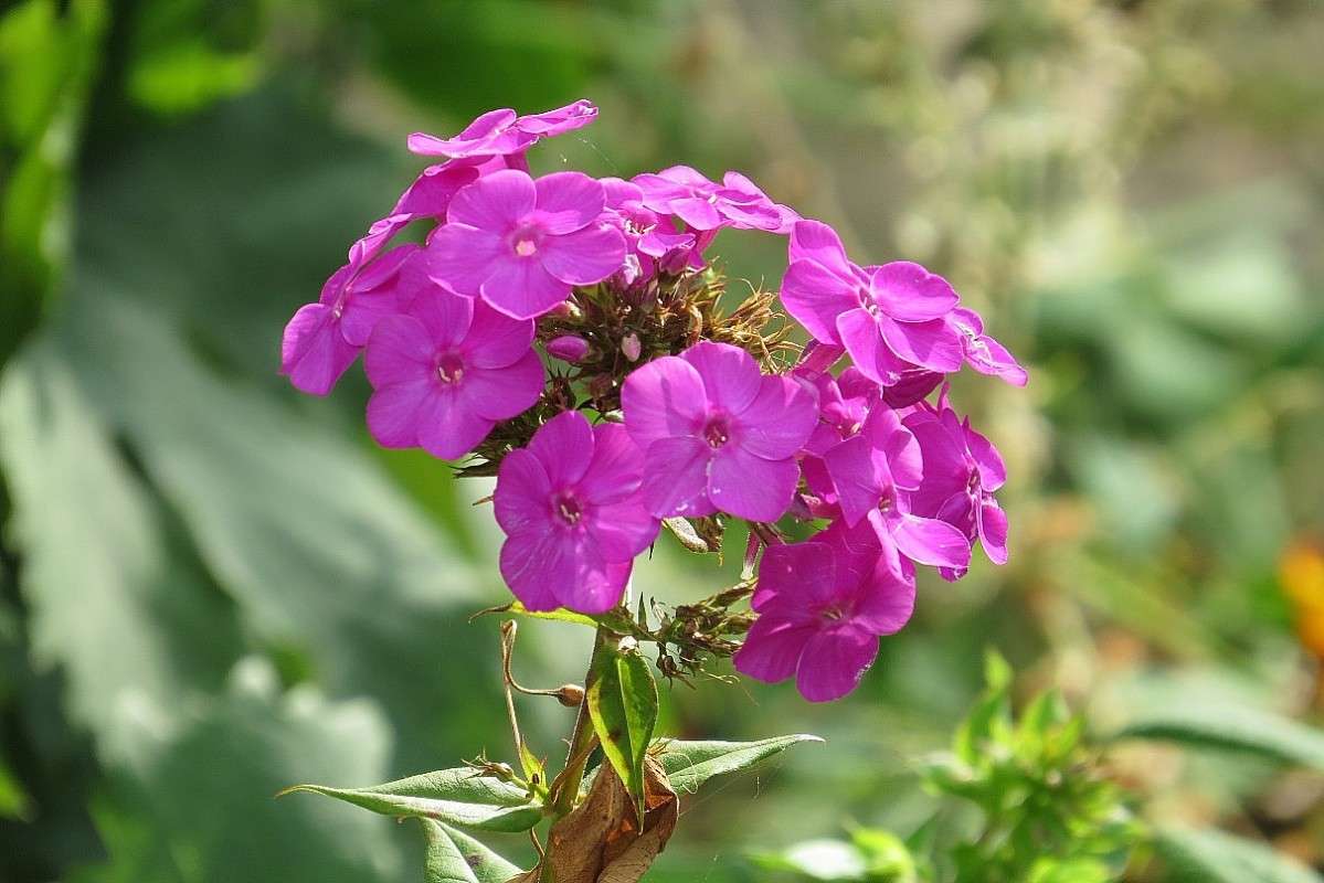 �� ������ ������ ... 2 ))) ����� Natali  ��������� �� PhotoGeek.ru #������ ��� ������� #����� ��������������