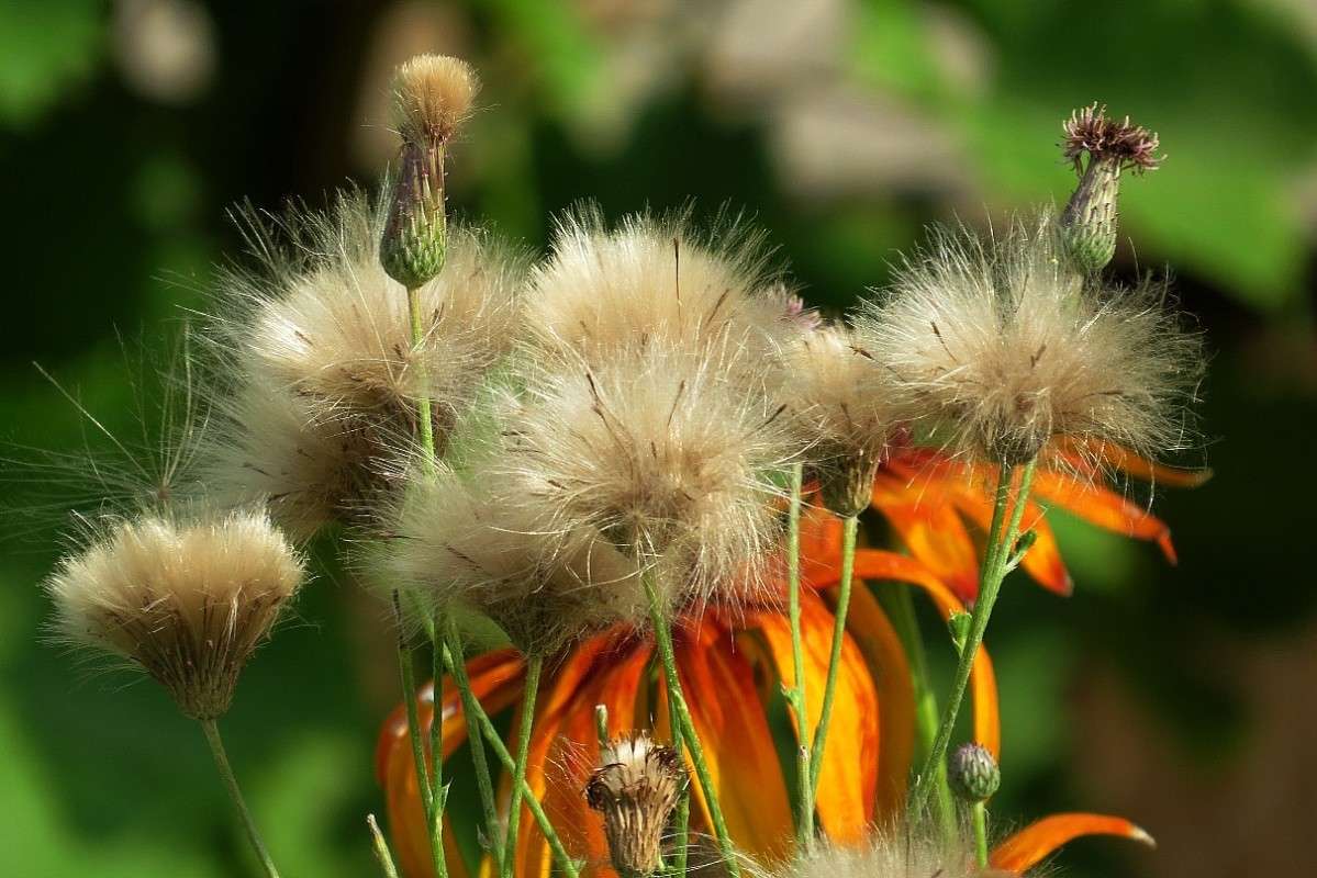 �� ������ ������ ... 3 ))) ����� Natali  ��������� �� PhotoGeek.ru #������ ��� ������� #����� ��������������