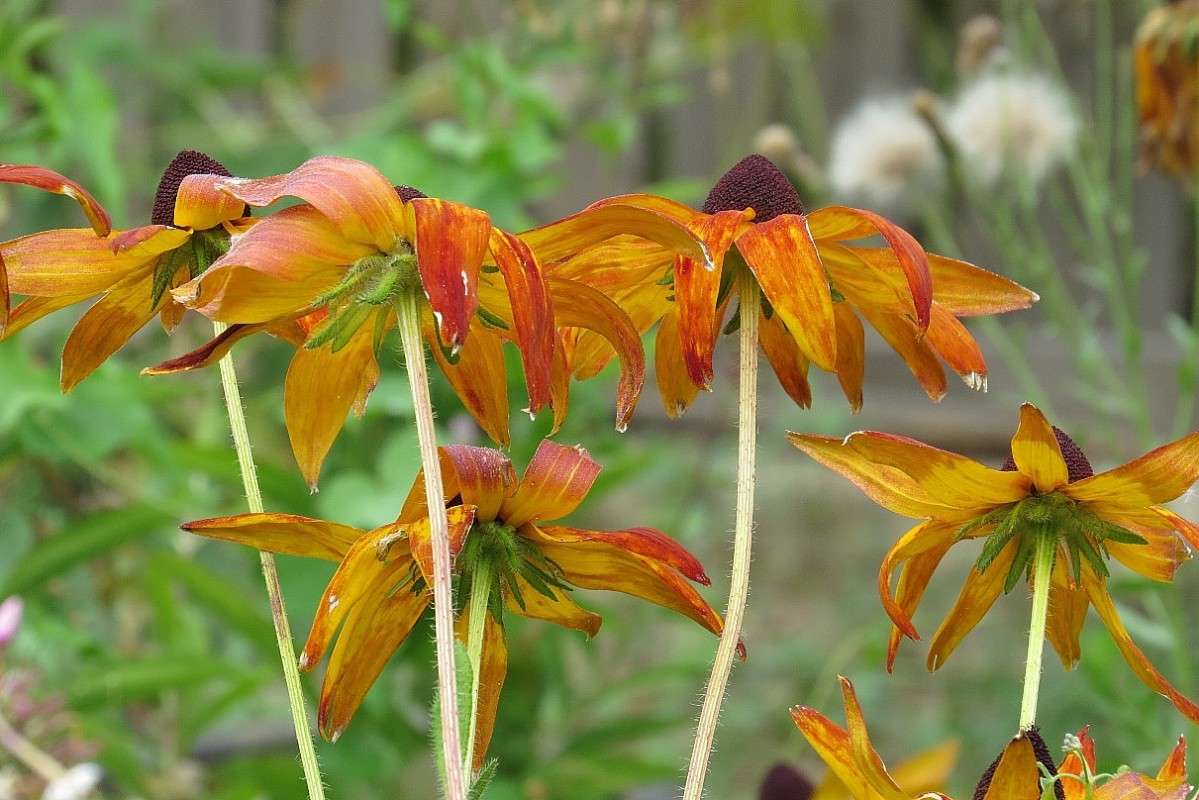 �� ������ ������ ... 4 ))) ����� Natali  ��������� �� PhotoGeek.ru #������ ��� ������� #����� ��������������