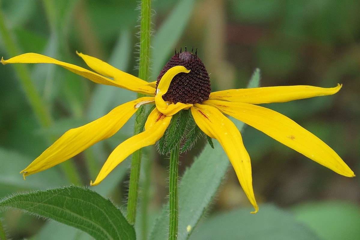 �� ������ ������ ... 5 ))) ����� Natali  ��������� �� PhotoGeek.ru #������ ��� ������� #����� ��������������