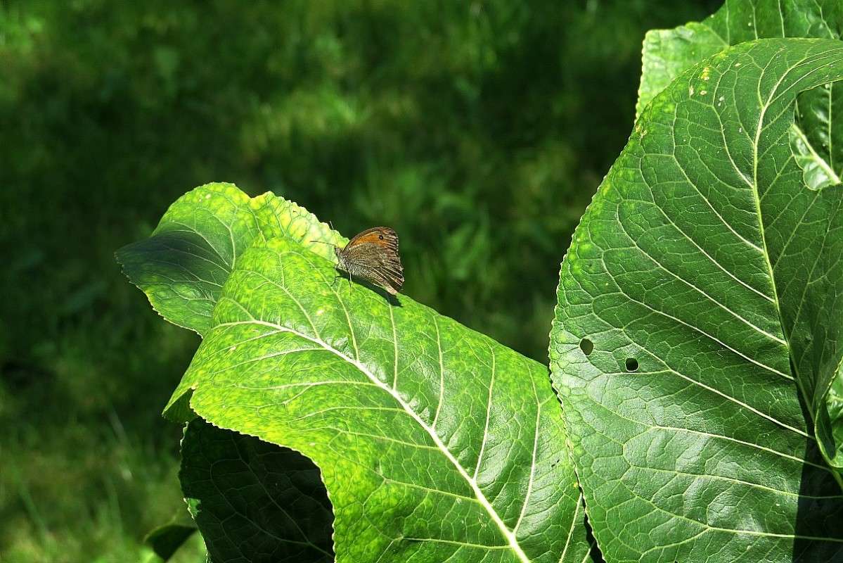 �������� ������� ���� ))) ����� Natali  ��������� �� PhotoGeek.ru #�������� ���