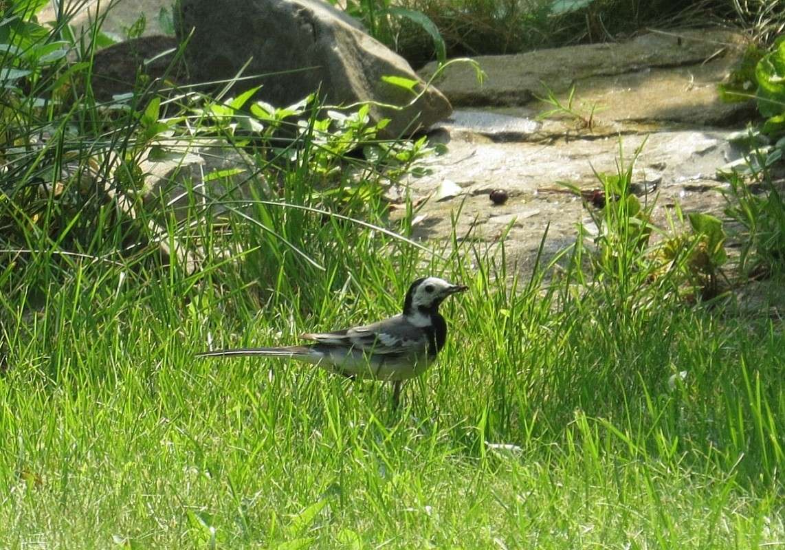 ���������� - ���� ))) ����� Natali  ��������� �� PhotoGeek.ru #�������� ��� #����� ��� ��� ���������