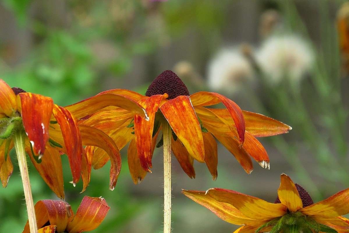 �� ������ ������ ... 6 ))) ����� Natali  ��������� �� PhotoGeek.ru #������ ��� ������� #����� ��������������