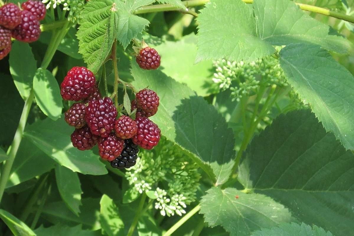 �� ��� ����� ))) ����� Natali  ��������� �� PhotoGeek.ru #������ ��� ������� #����� ��������������