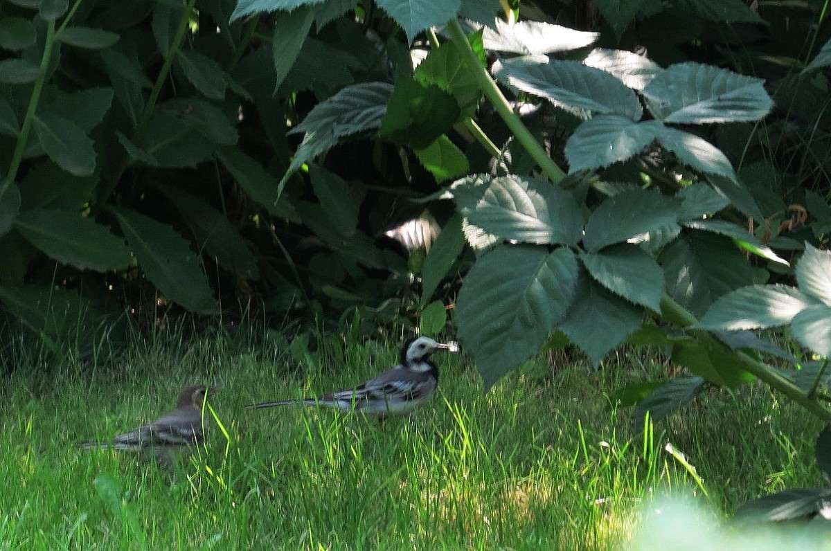 ������, ��������� ))) ����� Natali  ��������� �� PhotoGeek.ru #�������� ���