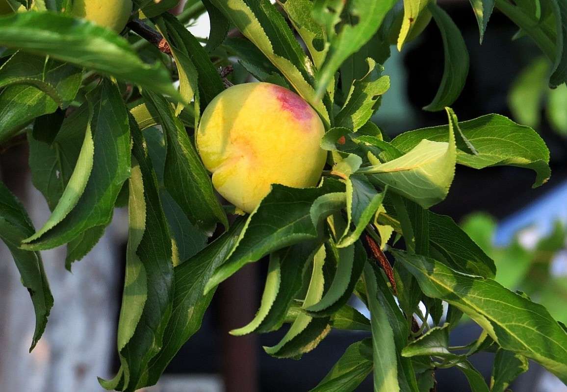 �� ������ ������  ^__^ ����� Natali  ��������� �� PhotoGeek.ru #������ ��� ������� #����� ��������������