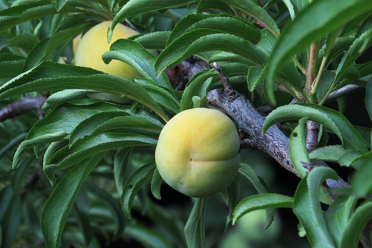 �� ������ ������ ^__^ ����� Natali  ��������� �� PhotoGeek.ru #������ ��� ������� #����� ��������������