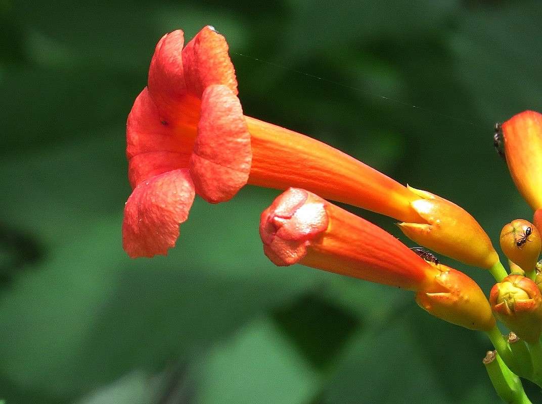 � �������� �� � � �� ��������� ))) ����� Natali  ��������� �� PhotoGeek.ru #������ ��� ������� #����� ��������������