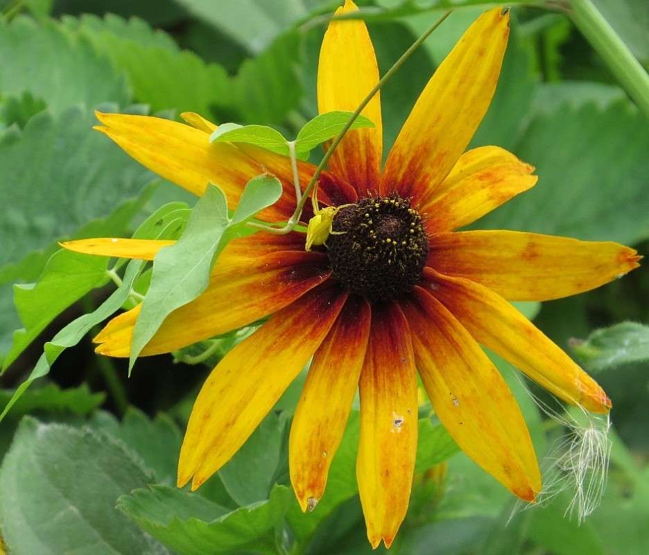 � �������� ))) ����� Natali  ��������� �� PhotoGeek.ru #������ ��� ������� #����� ��������������