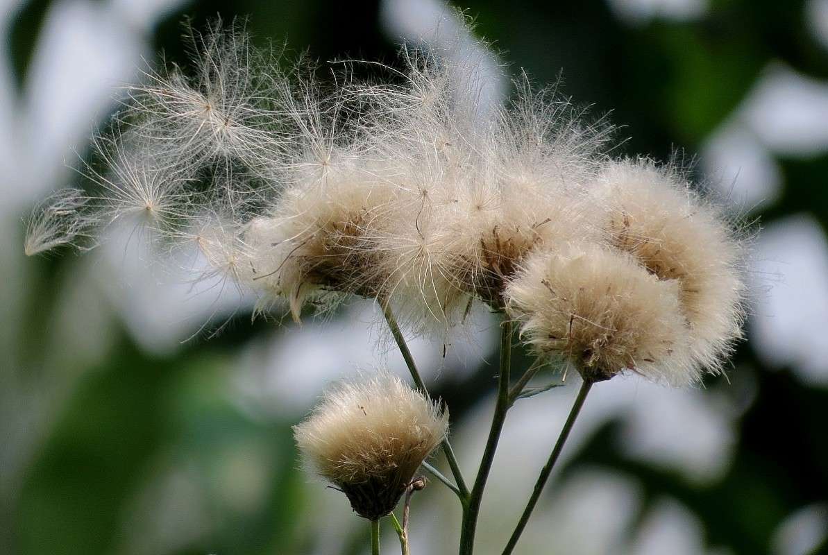 �� ������� ))) ����� Natali  ��������� �� PhotoGeek.ru #������ ��� ������� #����� ��������������