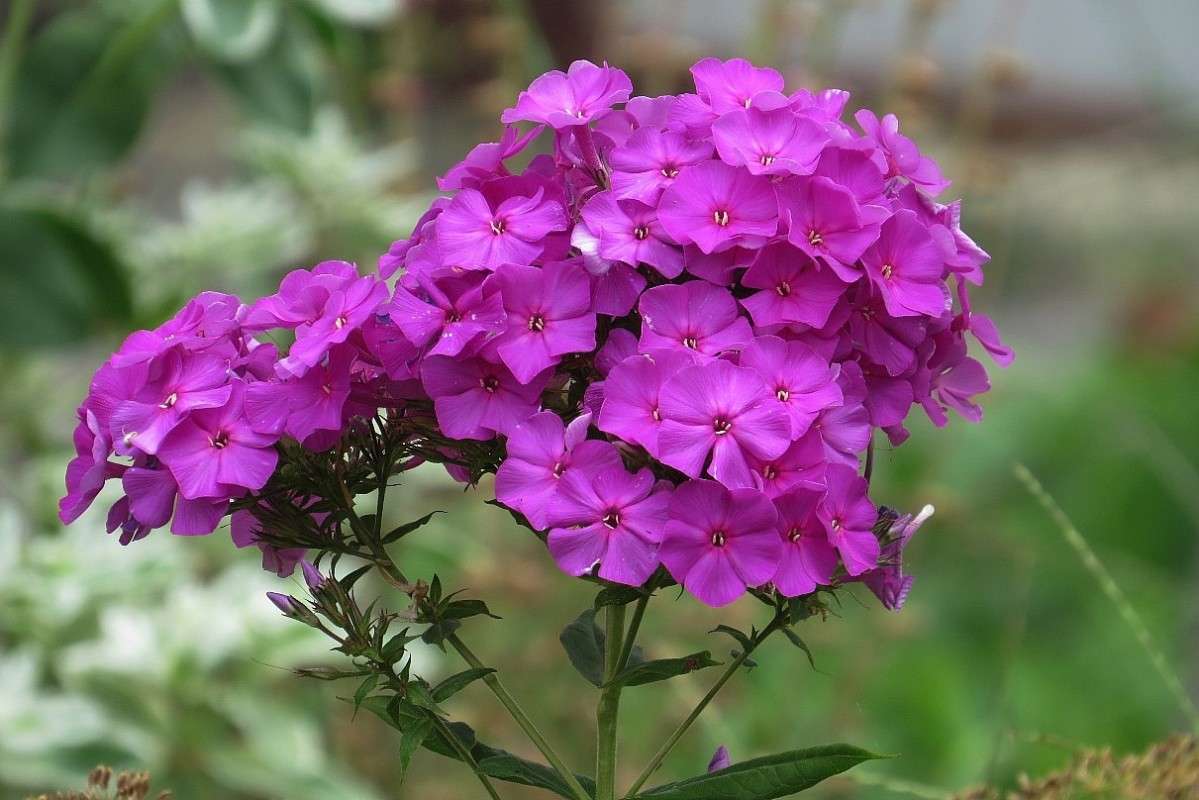 ��� ������� ))) ����� Natali  ��������� �� PhotoGeek.ru #������ ��� ������� #����� ��������������