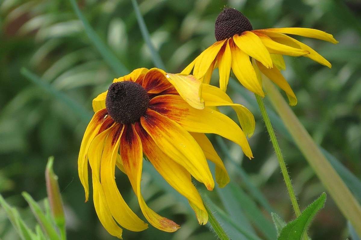 ... ����� Natali  ��������� �� PhotoGeek.ru #������ ��� ������� #����� ��������������