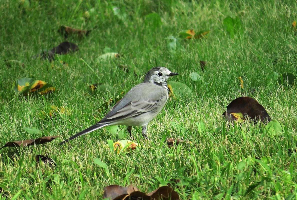 �� �������, �� �����. ���� ����� ������ ))) ����� Natali  ��������� �� PhotoGeek.ru #�������� ��� #����� ��� ��� ���������