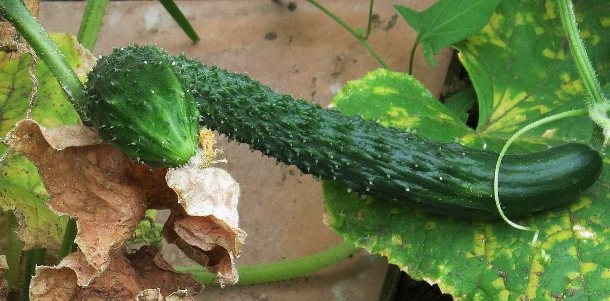 ���� ��������� ^__^ ����� Natali  ��������� �� PhotoGeek.ru #������ ��� ������� #����� ��������������