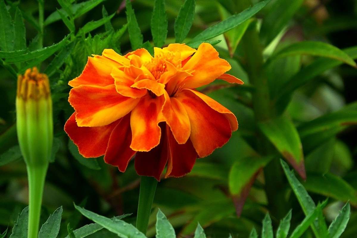 ... ����� Natali  ��������� �� PhotoGeek.ru #������ ��� ������� #����� ��������������