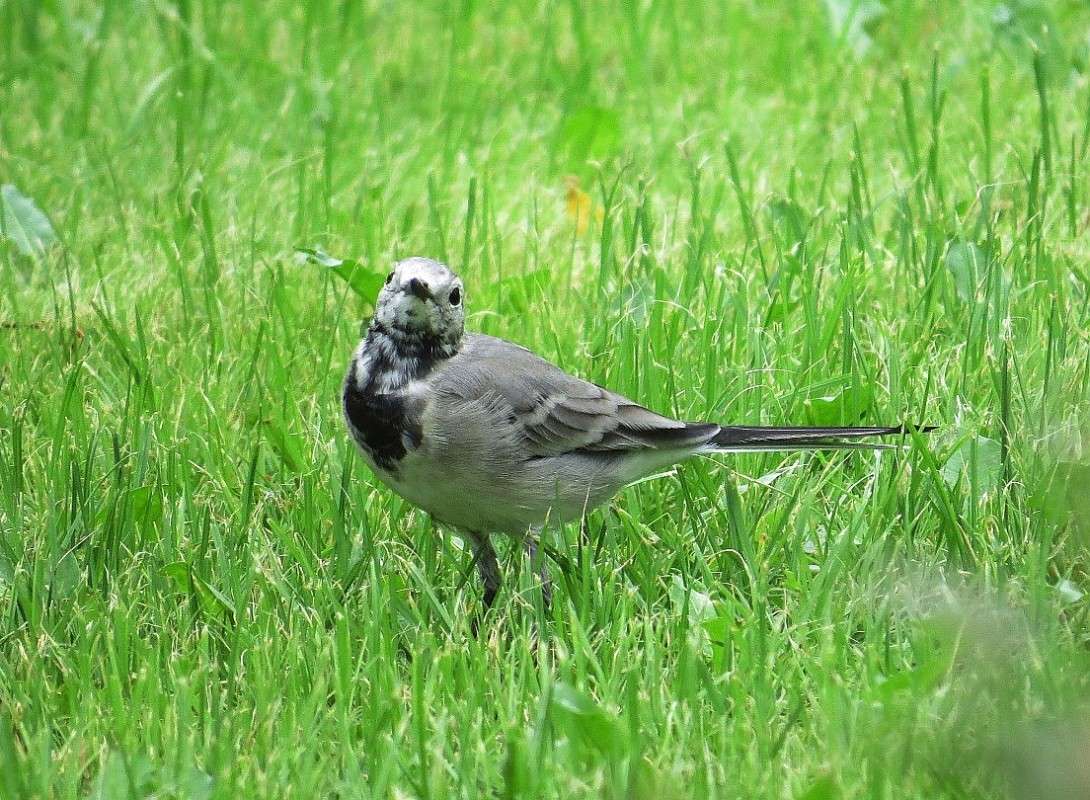 ������� � ��������� ))) ����� Natali  ��������� �� PhotoGeek.ru #�������� ��� #����� ��� ��� ���������