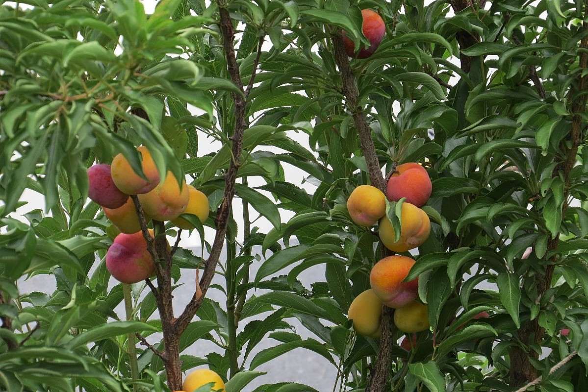 �� ���� �� ... ))) ����� Natali  ��������� �� PhotoGeek.ru #������ ��� ������� #����� ��������������