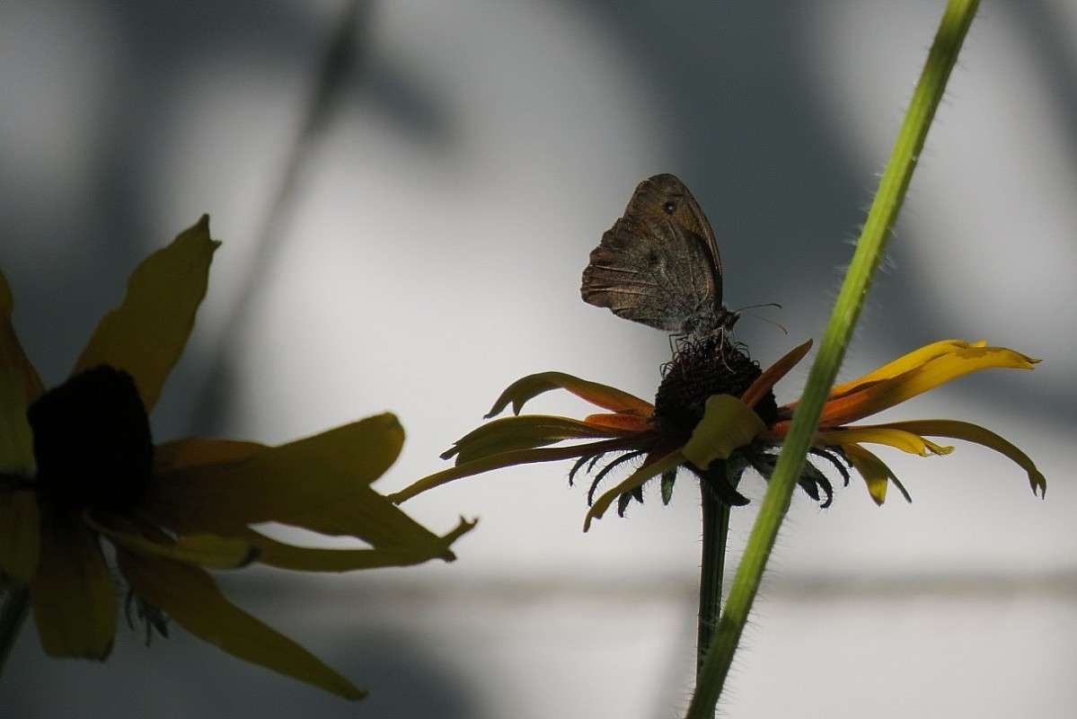 ������ ���� ))) ����� Natali  ��������� �� PhotoGeek.ru #������ ��� ������� #����� ��������������