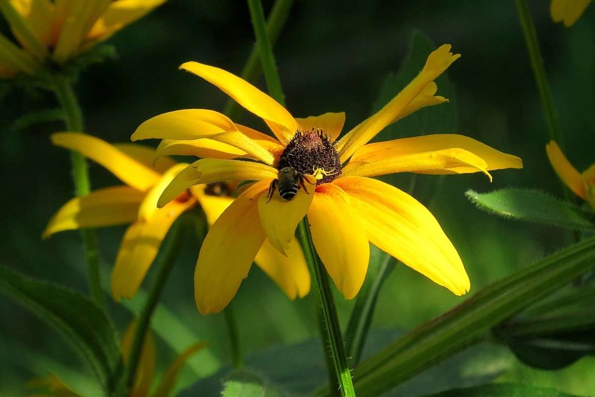 � ������ �� ������� ������� 2 ))) ����� Natali  ��������� �� PhotoGeek.ru #������ ��� ������� #����� ��������������