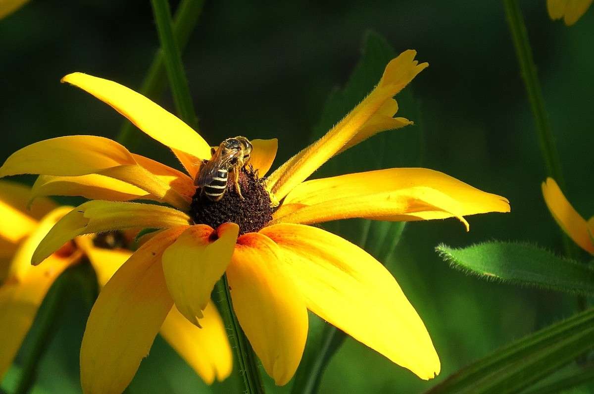 � ������ �� ������� �������  3 ))) ����� Natali  ��������� �� PhotoGeek.ru #������ ��� ������� #����� ��������������