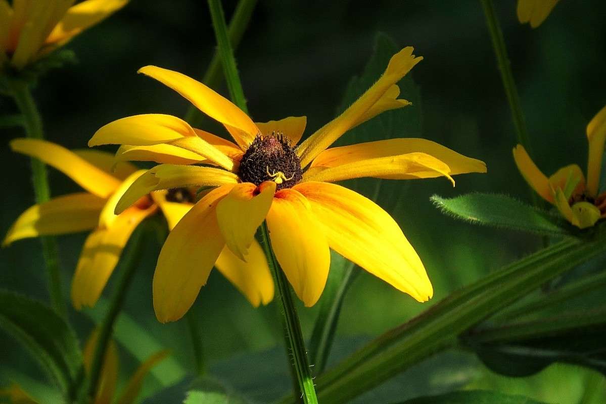 � ������ �� ������� ������� ))) ����� Natali  ��������� �� PhotoGeek.ru #������ ��� ������� #����� ��������������