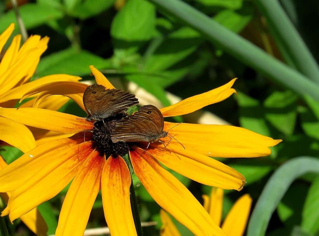 ��������, �������� ))) ����� Natali  ��������� �� PhotoGeek.ru #�������� ��� #������ ��� ������� #����� �������������� #����� ��������