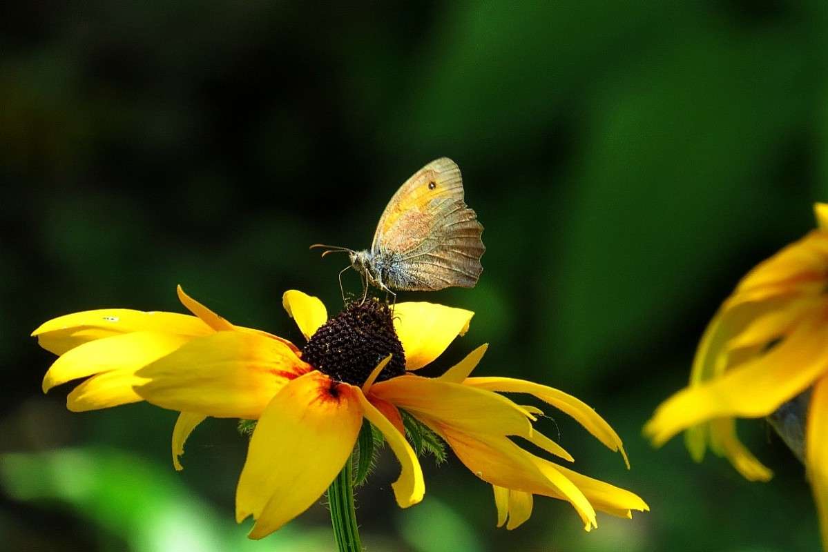 ... ����� Natali  ��������� �� PhotoGeek.ru #�������� ��� #������ ��� ������� #����� ��������������