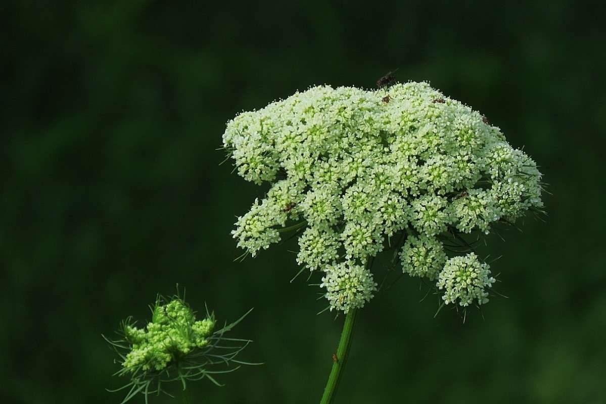 ... ����� Natali  ��������� �� PhotoGeek.ru #������ ��� ������� #����� ��������������